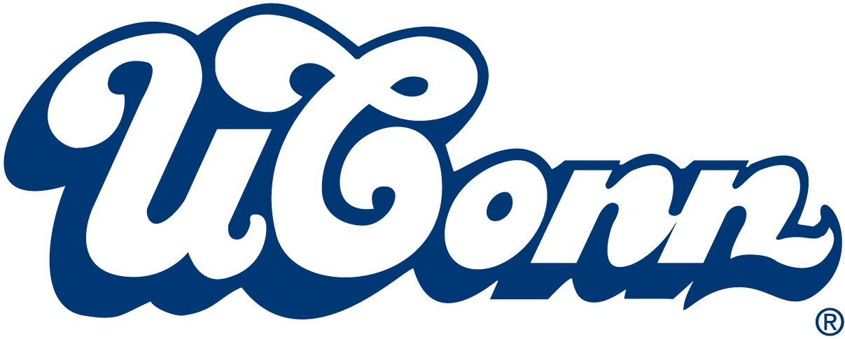 UConn Huskies 0-1995 Wordmark Logo diy iron on heat transfer
